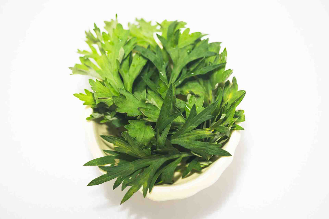 Mugwort Magic: How This Ancient Herb Still Heals Modern Lives