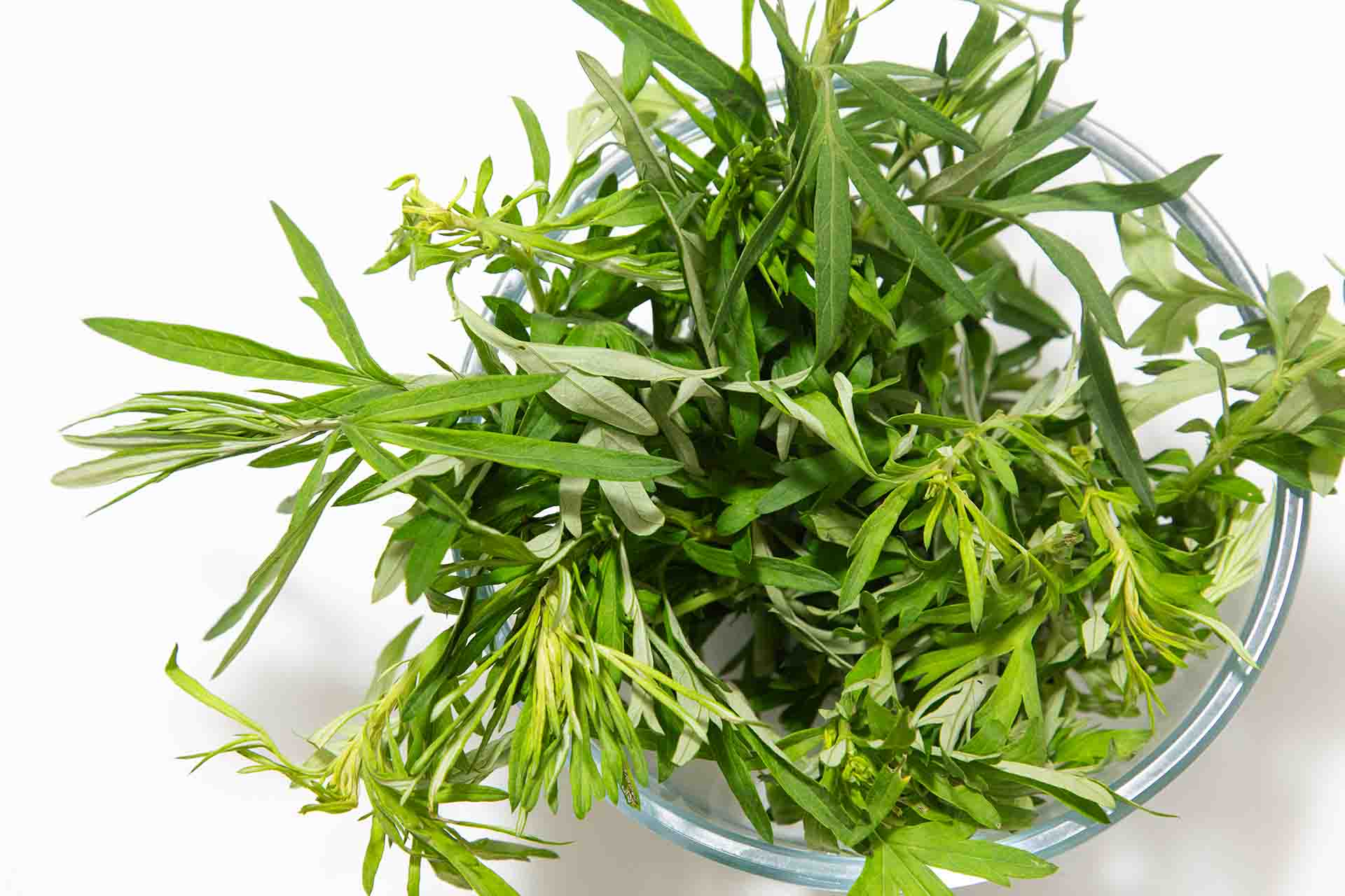 Moxibustion Mugwort Stick Packs Refill - 50 Pieces